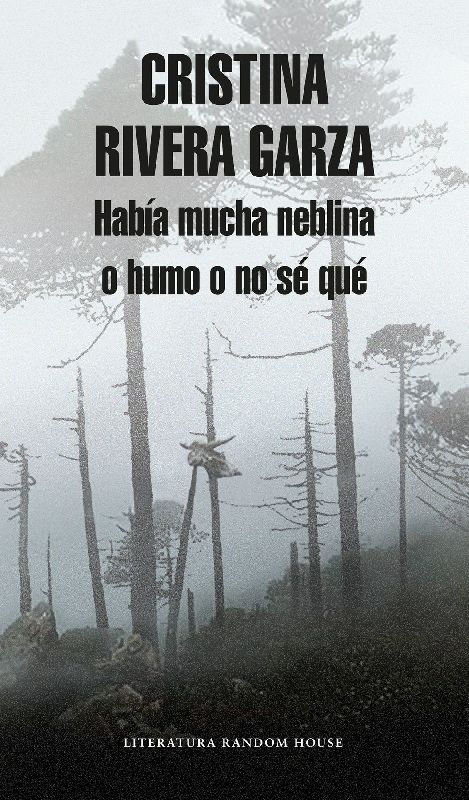 Habã-A Mucha Neblina O Humo O No Sã(c) Quã(c) Caminar Con Juan Rulfo / There Was a Lot of Fog, or Smoke, or I'm Not Sure What: Walking with Juan Rulfo