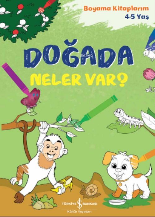 Dogada Neler Var