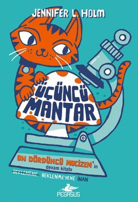 Ücüncü Mantar