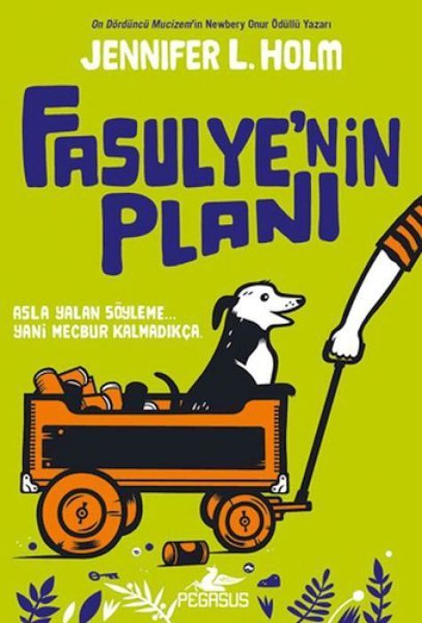 Fasulyenin Plani
