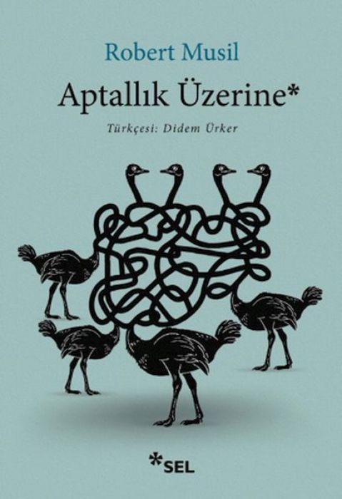 Aptallik Üzerine