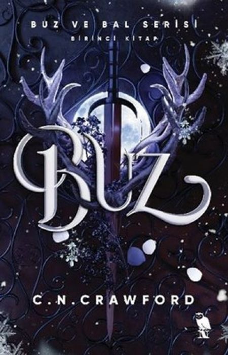 Buz - Buz ve Bal Serisi Birinci Kitap