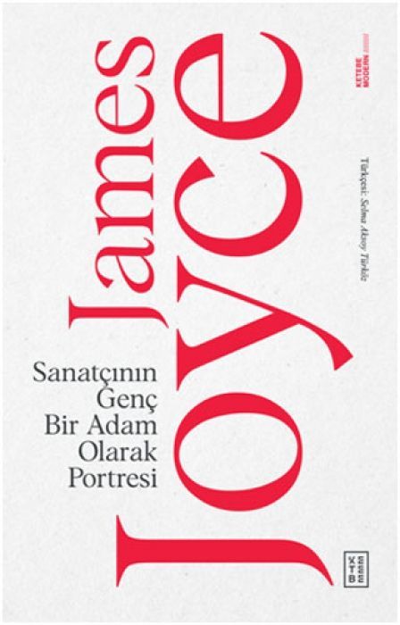 Sanatcinin Genc Bir Adam Olarak Portresi