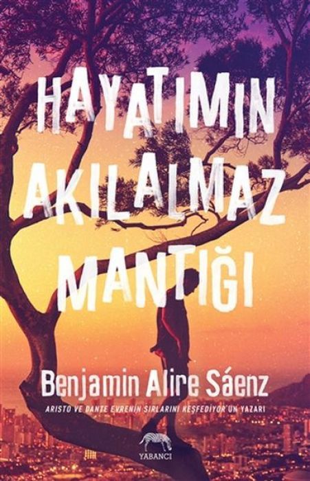 Hayatimin Akilalmaz Mantigi