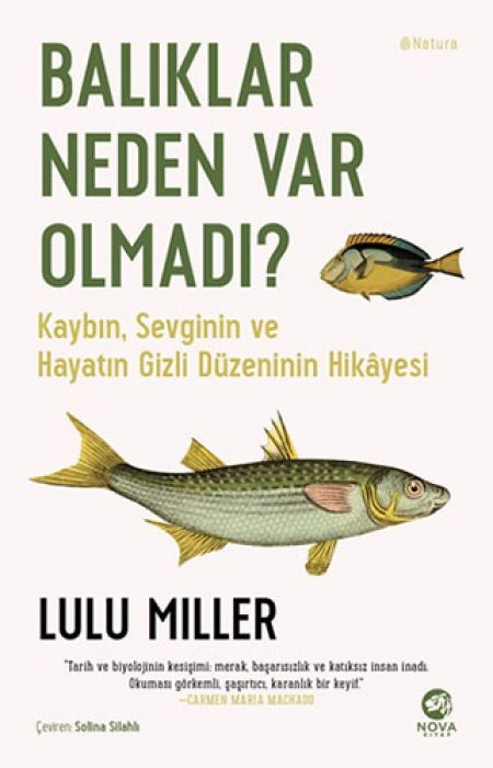 Baliklar Neden Var Olmadi