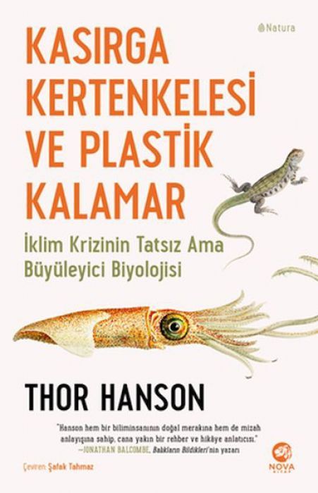 Kasirga Kertenkelesi ve Plastik Kalamar
