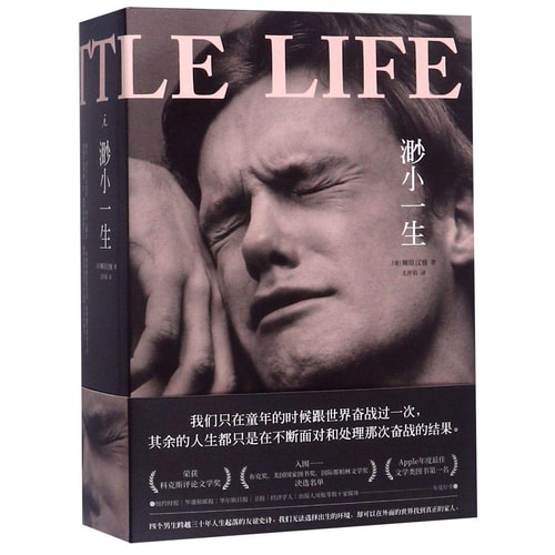 A Little Life