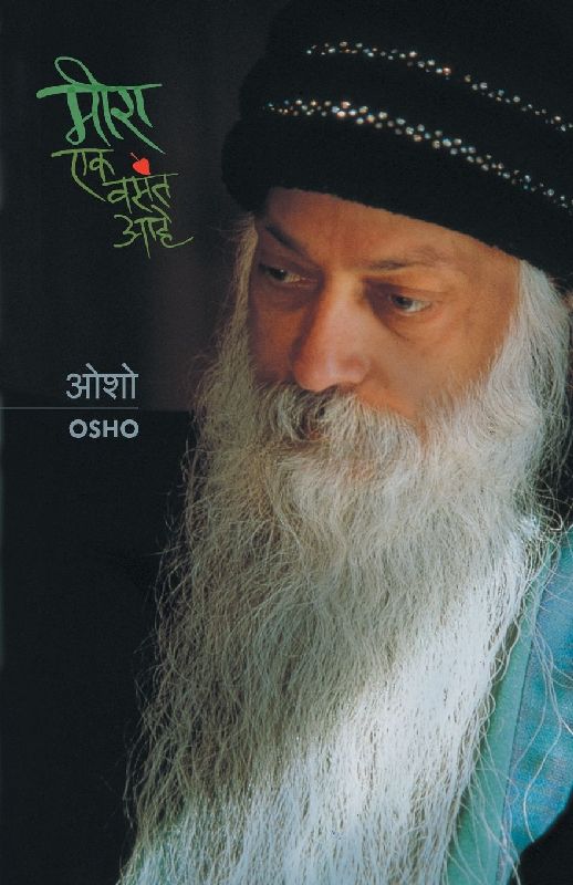 MEERA EK VASANT AHE