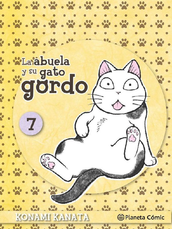 La abuela y su gato gordo 7