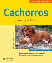 Cachorros : mascotas en casa
