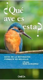 ¿Qué ave es esta?