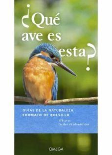 ¿Qué ave es esta? : playas y costa
