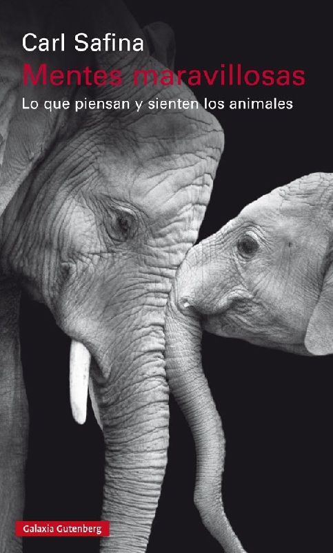 Mentes maravillosas : lo que piensan y sienten los animales