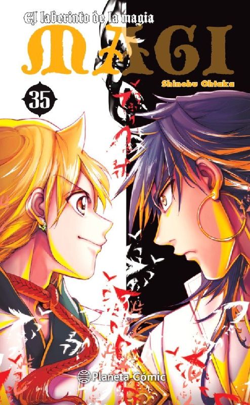 Magi, el laberinto de la magia 35