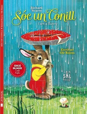 Sóc un conill