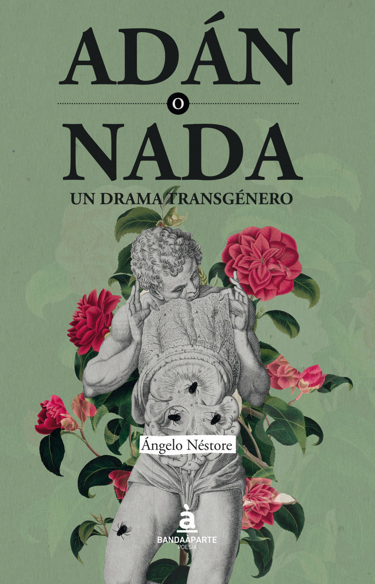 Adán o Nada