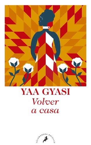 Volver a casa / Homegoing