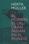 El hombre es un gran faisán en el mundo