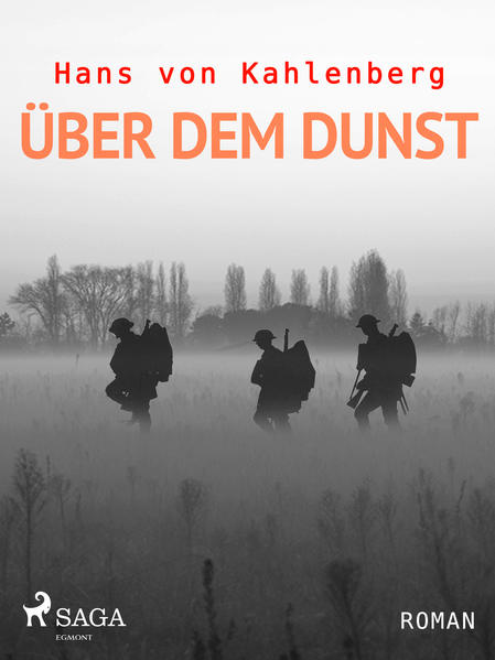 Über dem Dunst