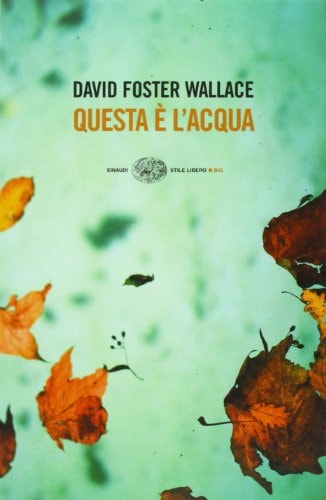 Questa è l'acqua