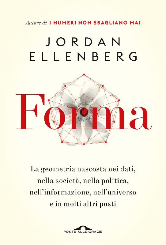 Forma. La geometria nascosta nei dati, nella società, nella politica, nell'informazione, nell'universo e in molti altri posti