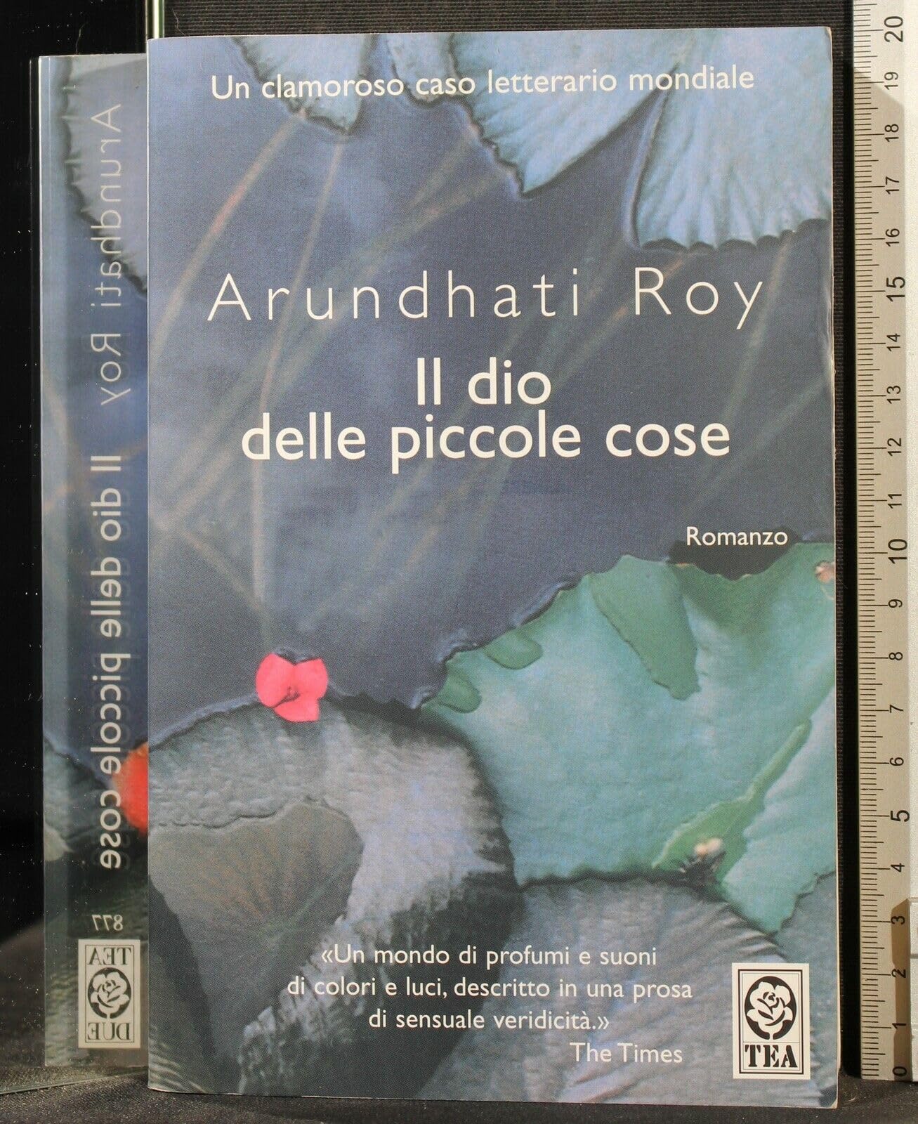 Il Dio Delle Piccole Cose