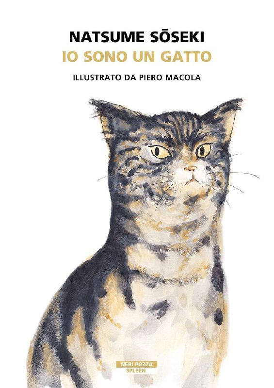 Io sono un gatto