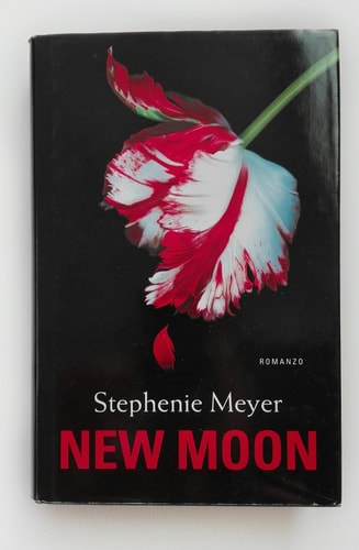 New moon (Tascabili)