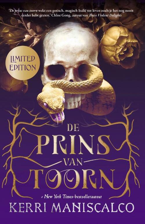 De prins van toorn (Koninkrijk van de verdorvenen, 1)