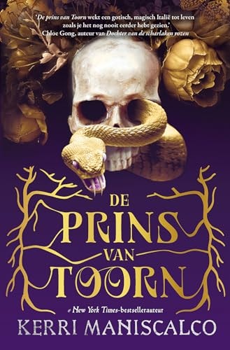 De prins van toorn (Koninkrijk van de verdorvenen, 1)