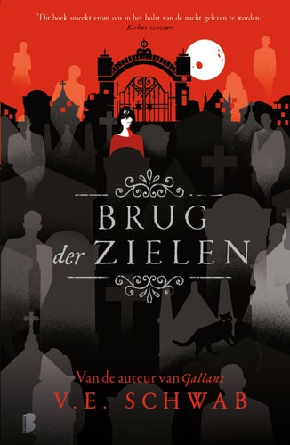 Brug der zielen, LE: Deel 3 Cassidy Blake (Cassidy Blake, 3)