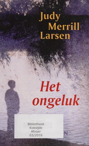 Het ongeluk