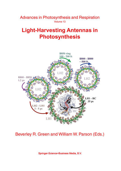 Light-Harvesting Antennas in Photosynthesis