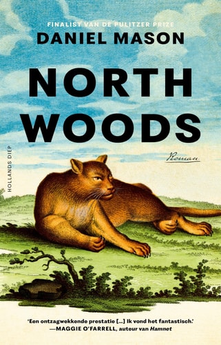 North woods