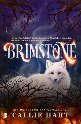 Brimstone: Deel 2 Fae & alchemie (Fae & alchemie, 2)