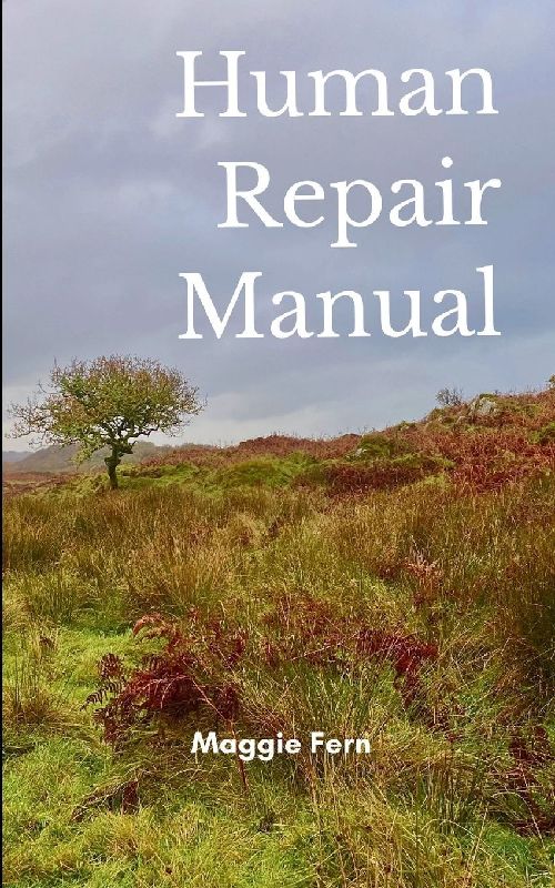 Human Repair Manual Includes non-essential information for today's more complex humans