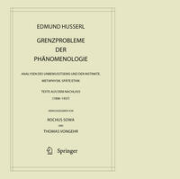 Grenzprobleme der Phänomenologie