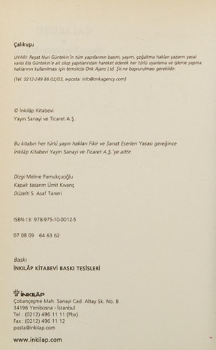 Çalıkuşu: Roman (Reşat Nuri Güntekin dizisi)