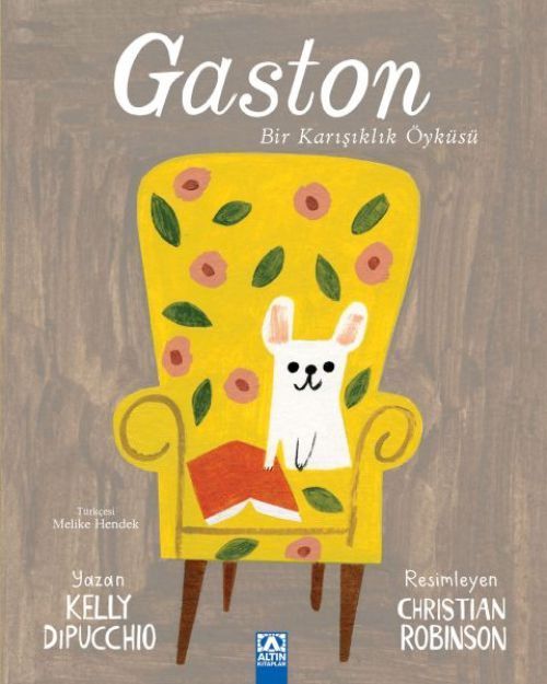 Gaston - Bir Karisiklik Öyküsü
