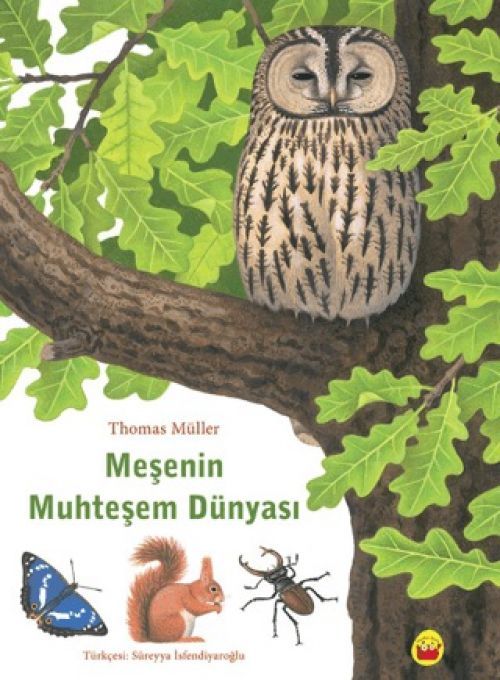 Mesenin Muhtesem Dünyasi