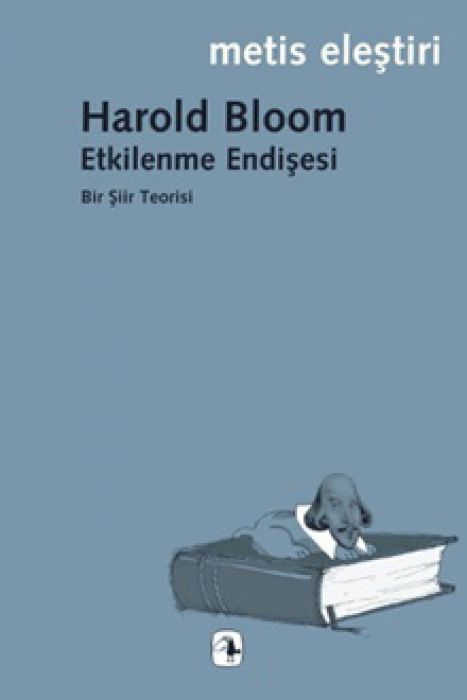 Etkilenme Endisesi