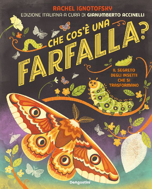 Che cos'è una farfalla? Il segreto degli insetti che si trasformano