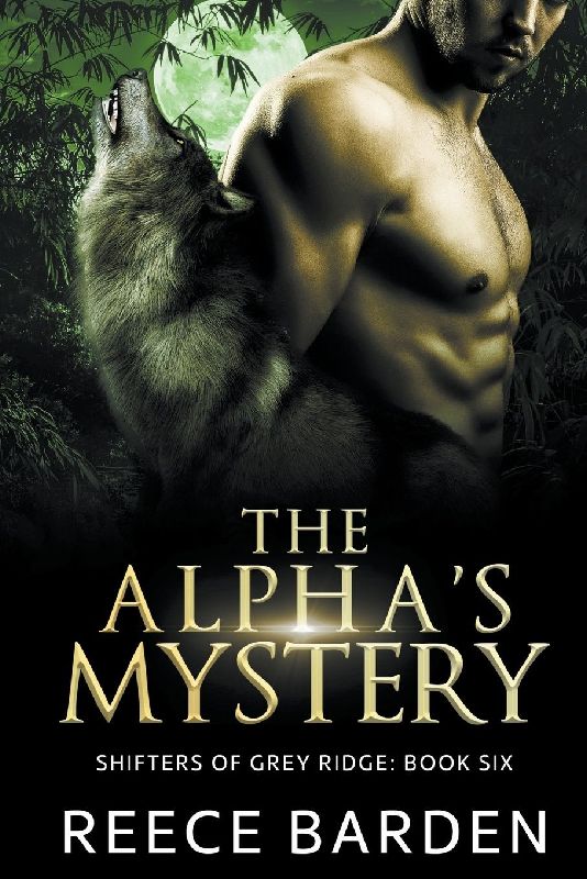 The Alpha's Mystery