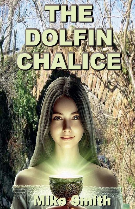 The Dolfin Chalice
