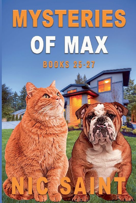 Mysteries of Max