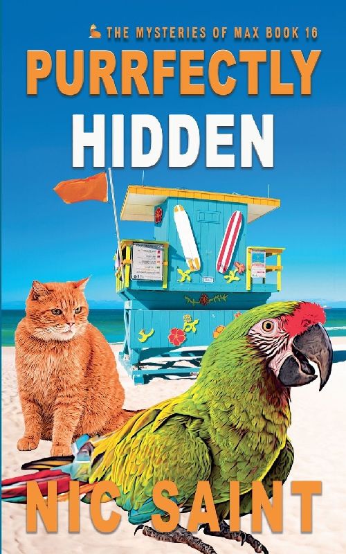 Purrfectly Hidden