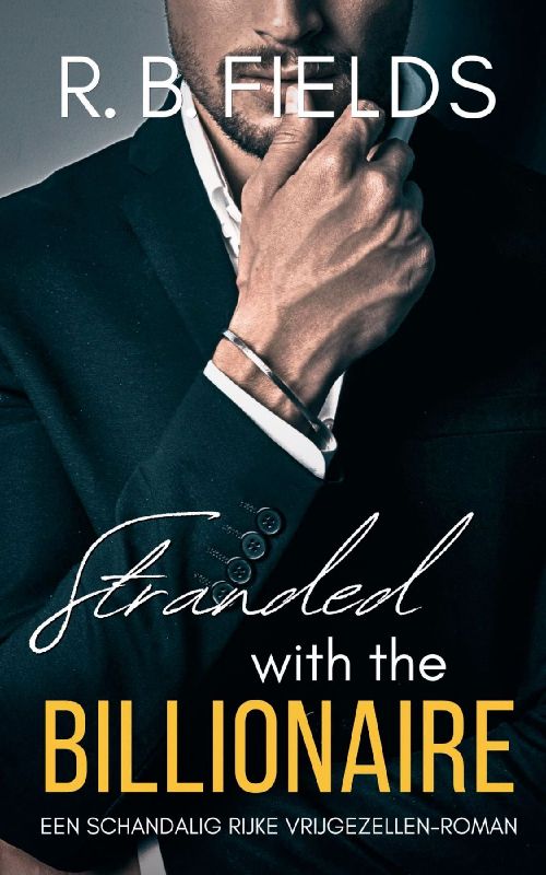 Stranded with the Billionaire
