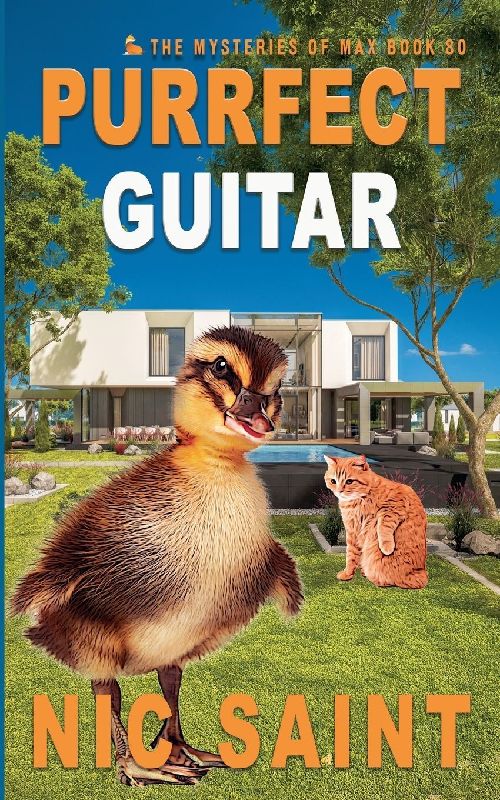 Purrfect Guitar