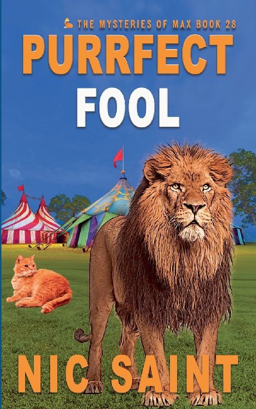 Purrfect Fool