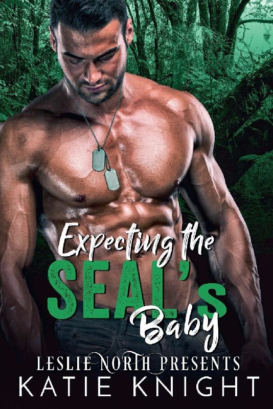 Expecting the SEAL's Baby